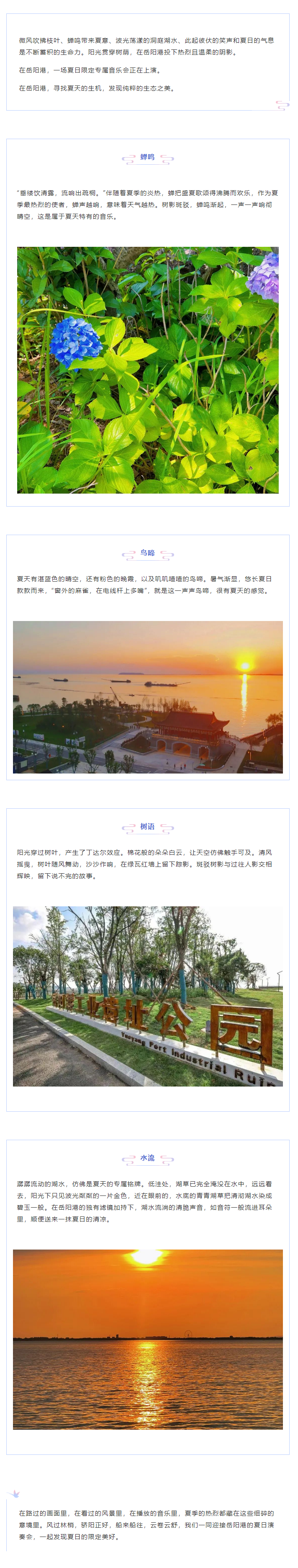【夏日演奏會(huì)】在岳陽(yáng)港，聆聽夏天的聲音.png